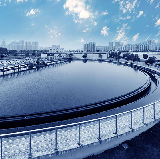 PSA 산소 발생기 응용